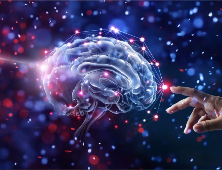 Shutterstock 762804592