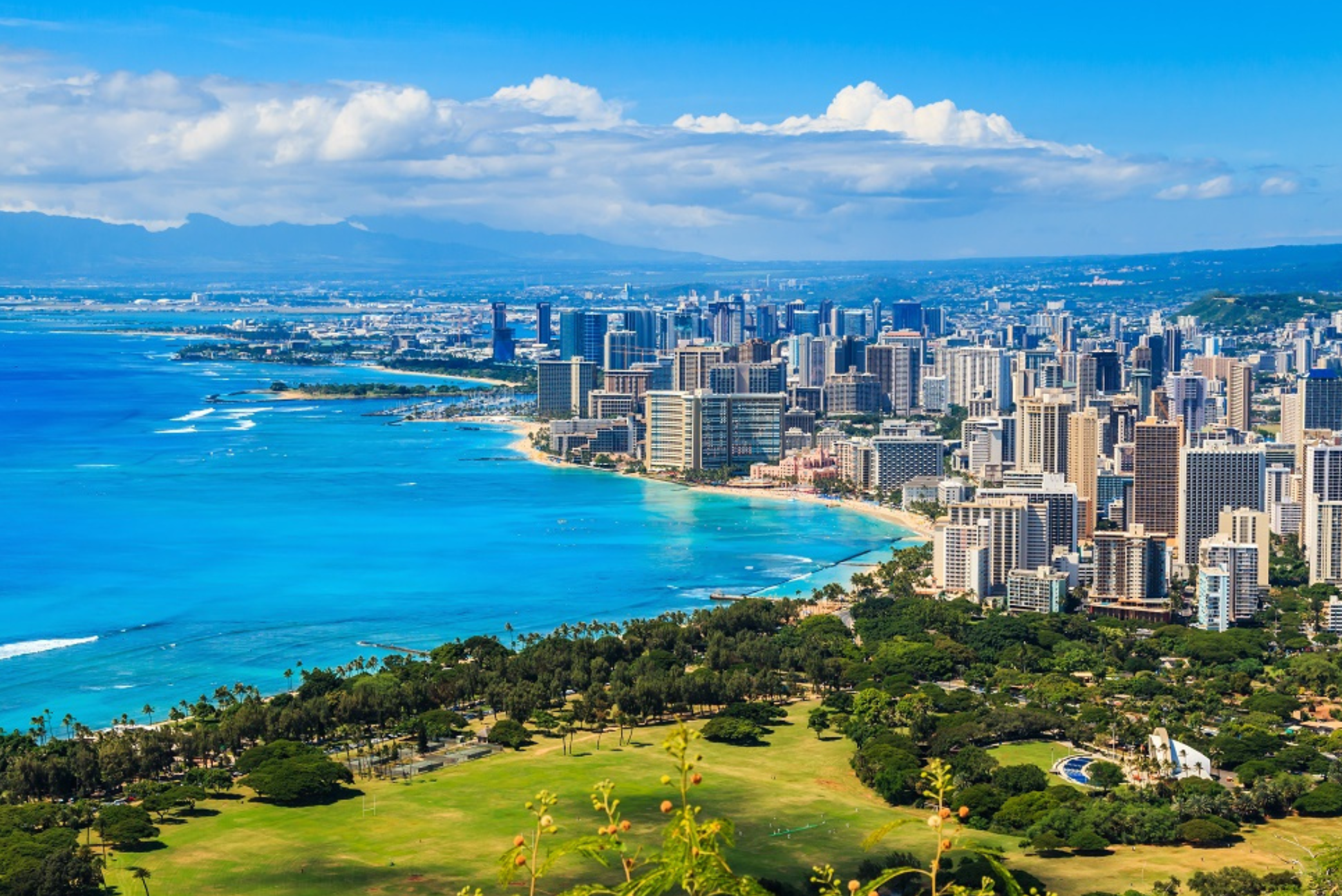 HGC Homepage PTC26 2